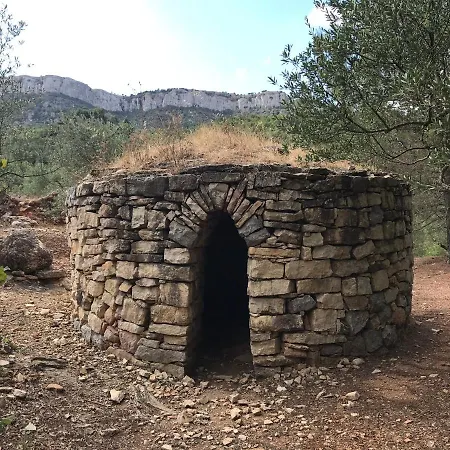 La Casa Del Carrer De Dalt Holiday home